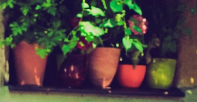pics05
