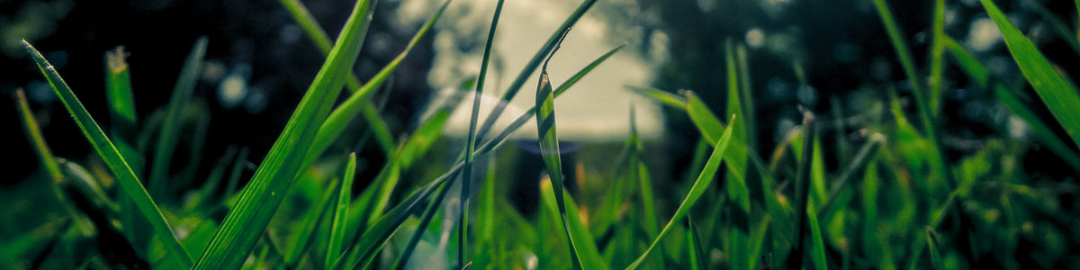 pics01-1