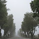 pics05