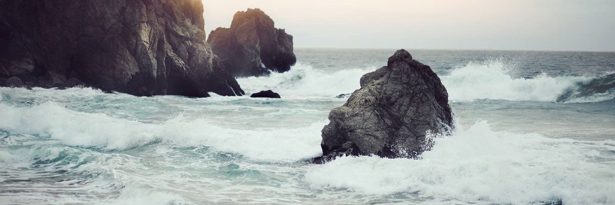 banner-1
