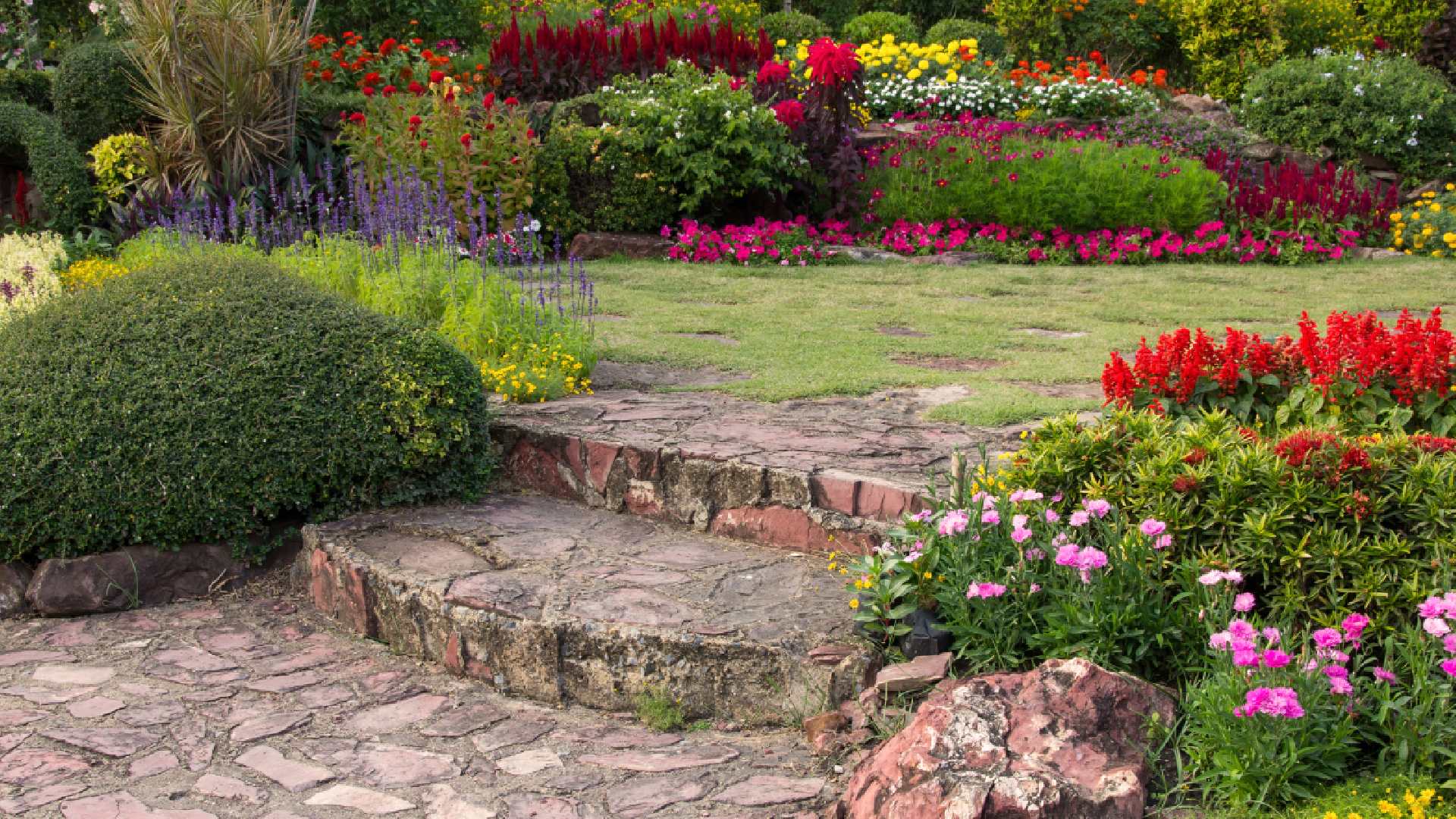flower-in-the-garden