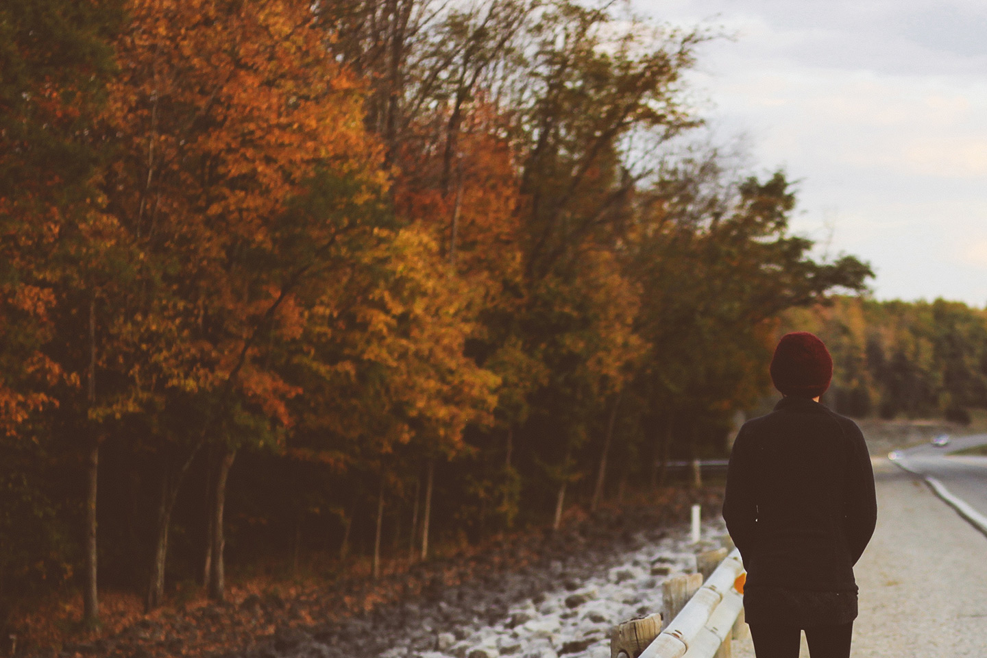 banner5 banner5
