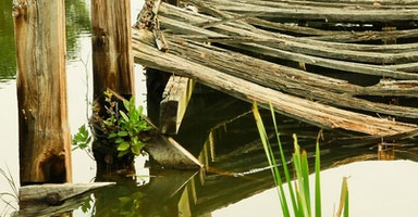 pics03