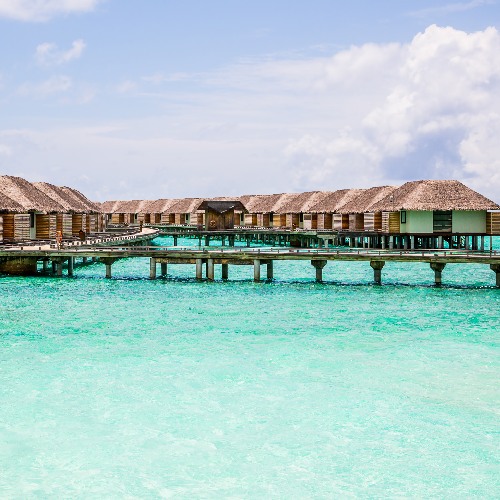 coral-reefs-in-the-water